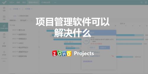项目管理软件 驱动企业管理效率提升的关键利器
